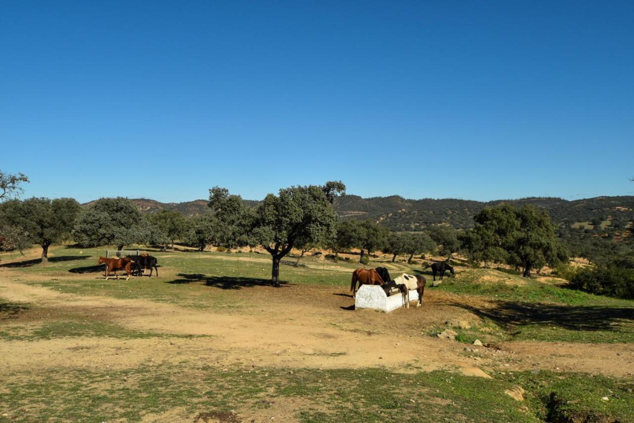 Finca Santa Maria De Las Canadas El Garrobo Екстериор снимка